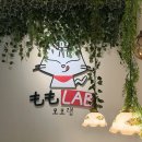 청주 성안길 점심 맛집 모모랩, 규카츠 스테이크 후기