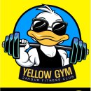 옐로우짐 5호 용산본점 이미지