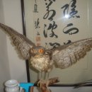 미리네 민박 이미지