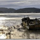 더리미장어마을 이미지