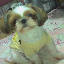 보라아파트 이미지