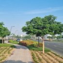 믿음 Dental 이미지