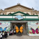 꿈꾸는 정원 | 에버랜드 숨은 명소 나비의 꿈꾸는 정원 솔직 후기!