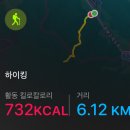 [일상 24.05] - 찐 만 31세 생일 후기/청모/운동/보드게임