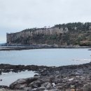 제주 올레길 8코스 이미지