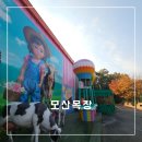 모산농장 | 아이들과 체험학습 파주 모산목장 우유농장 치즈 피자 만들기