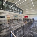 그루비독 이미지