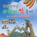 산약마