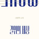 강릉인권영화제 Daum카페