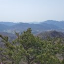 당산화원 이미지