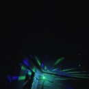 탐스앤짐 이미지