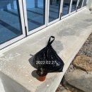 새미끌집 이미지