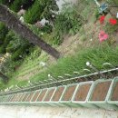 괘법초등학교 이미지