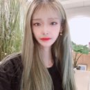 오차드스트릿커피