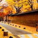 청대공인중개사사무소 이미지