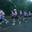 [44기 S2] 26.08.22. (토) 인천대공원 페이스주 30KM 이미지