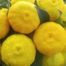 남해는, 지금 이미지