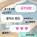 동학사 - 1053 | 동학사펜션 후기, 공주여행에서 묵기 좋았던 등나무펜션
