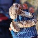 자하곡약수터 이미지