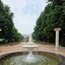 6월2일(월) 송파구 올림픽공원 장미원 여행공지 이미지