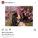 쟈오헤어