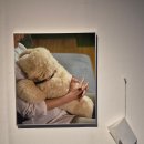 안태원 | 주말 관악산 나들이 코스 추천: 서울대 미술관 무료 전시 관람하고 캠퍼스 산책까지!