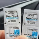 대전본동물병원 이미지