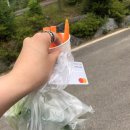 동화힐링캠프 이미지