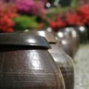 남궁농원 이미지