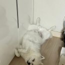 간식랜드 이미지