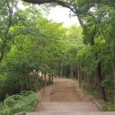 신대리야영장 이미지