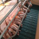 진학농장 이미지