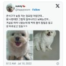 온식구가 늦잠 자는 일요일 아침인데... 이미지