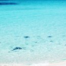 제주의 이유 이미지