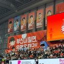 지하철체육공원역 | 배구 직관 첫후기! OK저축은행 vs 현대캐피탈