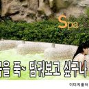 덕산스파 Daum카페