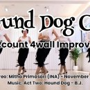 라인댄스(낮) 이미지