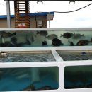 감포회직송 이미지