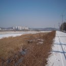 종합운동장 메타세콰이어길 이미지