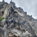 보동이네 이미지