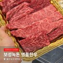 보성사료 | 울산 남구 한우 맛집 무거동 보성녹돈 명품한우 퀄리티 인정