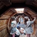 11545-10-13-37 | 대전 보문산 큰나무 전망대 다녀온 후기· 중식당 라이라이에서 점심