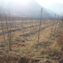 송도로공인중개사사무소 이미지