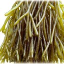 바다의향기 이미지