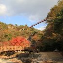 2018년 제17차 9월 09일 전북 순창 강천산 산행안내 이미지