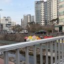 어정초교후문사거리 어정초정문앞 횡단보도(아파트 쪽) | 래미안 엘리니티, 근데 이제 이 동네 10년산 사람의 시선을 곁들인