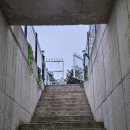 파파홈(문산점) | 파파홈 파주점(파주글램핑, 파주애견동반글램핑)