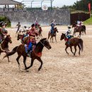 더마파크 이미지