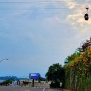 동일반점 이미지