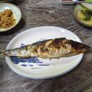 상무2동행정복지센터대회의실 | [광주 쌍촌동 맛집] 펄떡이는 제철 대하구이 현지인 찐맛집 '황금회포차'